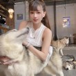 凛子酱酒吞童子无删精选,沉浸式体验最完美的妖怪诠释